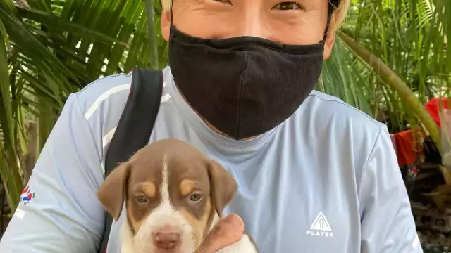 El joven indicó que le gustaría ver a las personas colaborando en la construcción de escuelas en México