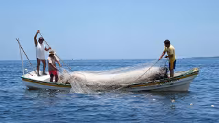 Pescadores de Isla Arena exigen las estrategias de Yucatán contra la depredación de fauna marina