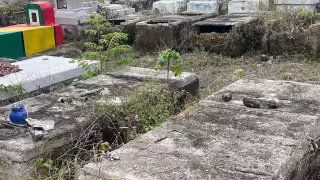 Denuncian robo de tumbas y altares en el panteón Campos del Recuerdo de Chetumal