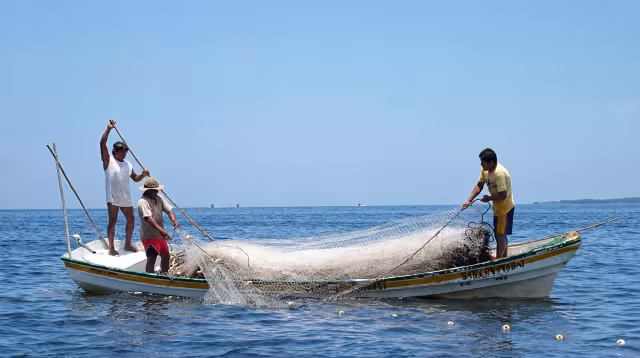 Baja pesca en Yucatán preocupa a miles de familias que dependen del mar