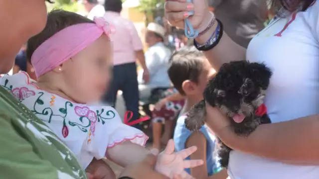 El principal síntoma de este padecimiento es el reflejo blanco o amarillo en la pupila