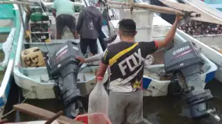 Las razones de poca presa, aluden trabajadores, derivan por cambios en las temperaturas y porque el cefalópodo se “encueva”