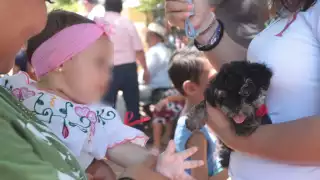 El principal síntoma de este padecimiento es el reflejo blanco o amarillo en la pupila