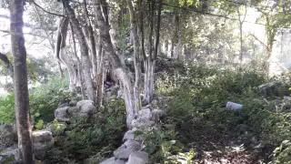 Piden rescatar sitios mayas en Rancho Viejo y Francisco May