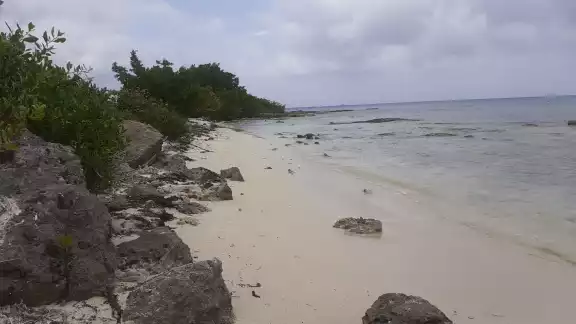 Los cozumeleños exigen que se la Ley de Bienes Nacionales donde se establece el libre acceso a la playas