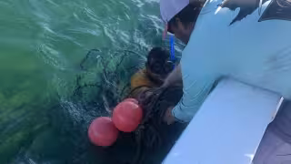 Renuevan en Isla Mujeres tramo afectado por Frente Frío número 10