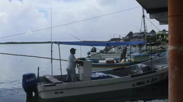 Cooperativas se encuentran en aparente quiebra porque la temporada del molusco no es la que se esperaba por varios factores