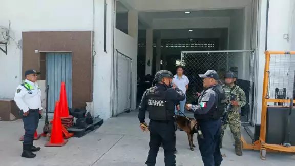 Aseguran posible narcótico en paquetería Aseguran posible narcótico en paquetería
