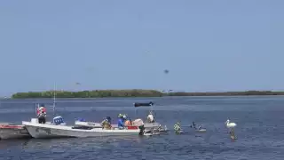 Se espera que la Onda Tropical 15 aleje al manchón de las costas de Yucatán