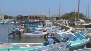 Ante la escasez de molusco y su bajo precio comercial, pescadores prefieren no salir a capturar