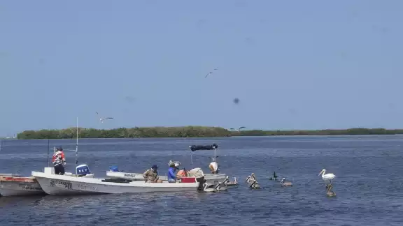 Se espera que la Onda Tropical 15 aleje al manchón de las costas de Yucatán Se espera que la Onda Tropical 15 aleje al manchón de las costas de Yucatán