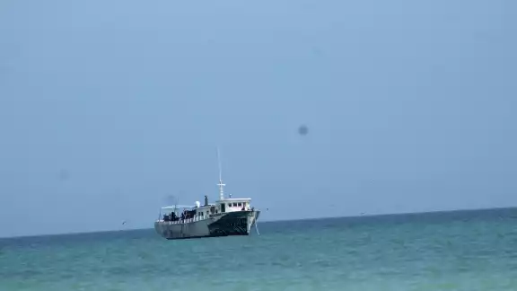 El fenómeno se observó a unas 25 millas de los puertos de El Cuyo y Las Coloradas