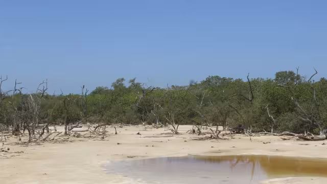 Algunos sistemas ya presentan rasgos de desertificación que provocan cambios en el suelo.