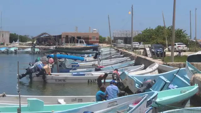 Ante la escasez de molusco y su bajo precio comercial, pescadores prefieren no salir a capturar