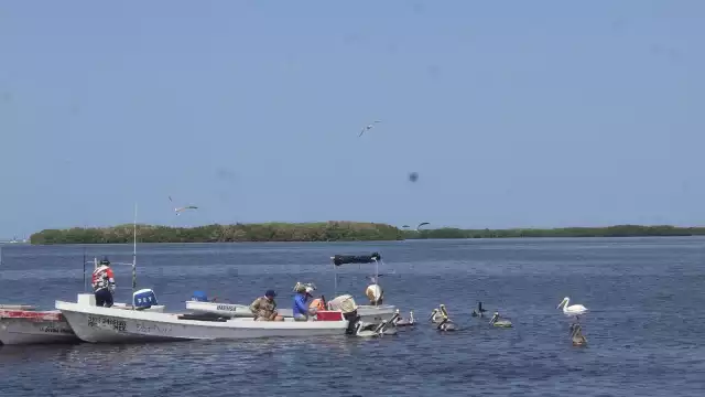 Se espera que la Onda Tropical 15 aleje al manchón de las costas de Yucatán