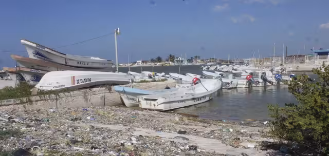 Profesionales advierten del impacto negativo de ciertas partículas y químicos en áreas protegidas