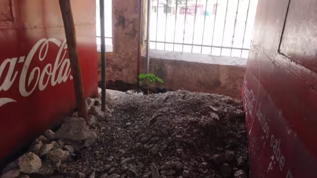 Las condiciones del predio no permiten que los locatarios reanuden sus ventas