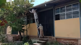 Abejas atacan a estudiantes en Tenabo; al menos 10 resultan lesionados