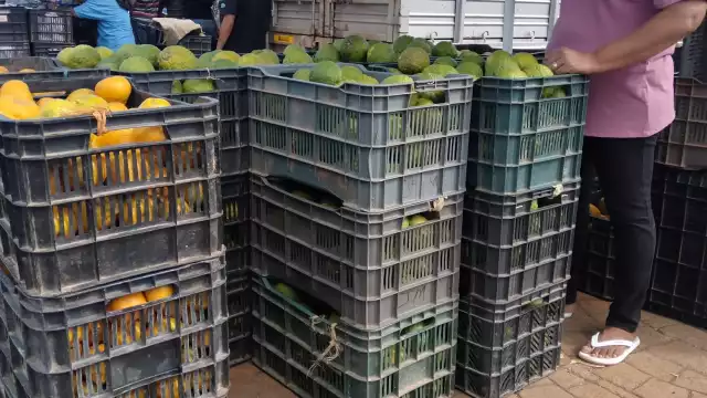 El mercado local lució con aglomeraciones de campesinos en busca de exportar su producto