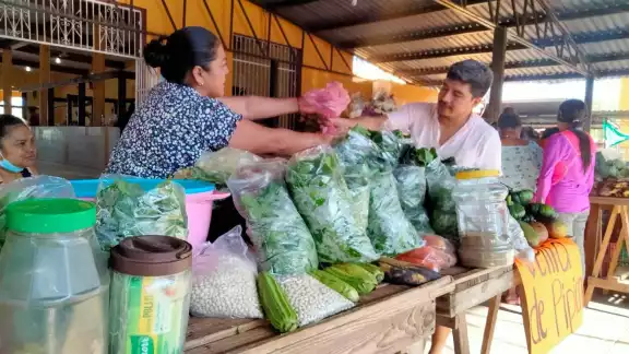 La chaya se vende en mercados de Yucatán La chaya se vende en mercados de Yucatán