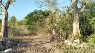 Sujetos ofertan propiedades ejidales a más de una persona, a pesar de carecer de documentos