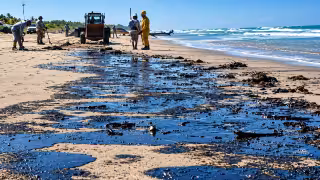 Marina y Pemex contienen otro derrame de hidrocarburo cerca de la ciénega de Progreso; el deterioro de tuberías, la causa preliminar