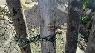 El abuelito fue lesionado en la cabeza y en las manos con un machete