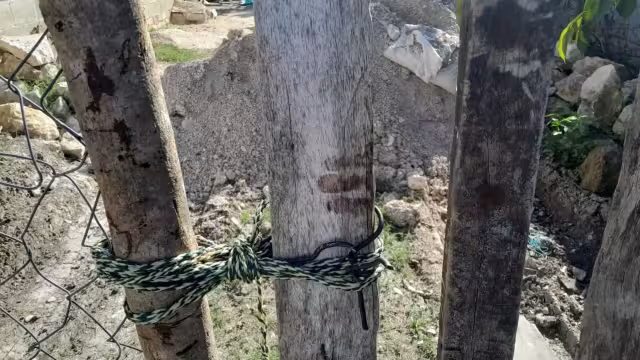 El abuelito fue lesionado en la cabeza y en las manos con un machete