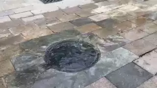 Aguas negras se desbordan en Playa del Carmen