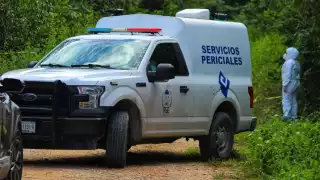 Fueron descubiertos por una persona que transitaba por el lugar