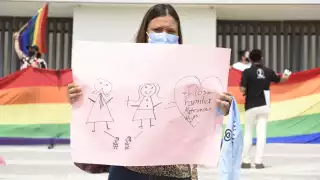 El Colectivo agradeció a los legisladores que abiertamente impulsaron la iniciativa en esta LXII Legislatura