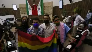 Los diputados respaldaron el derecho de las parejas homoparentales para contraer matrimonio