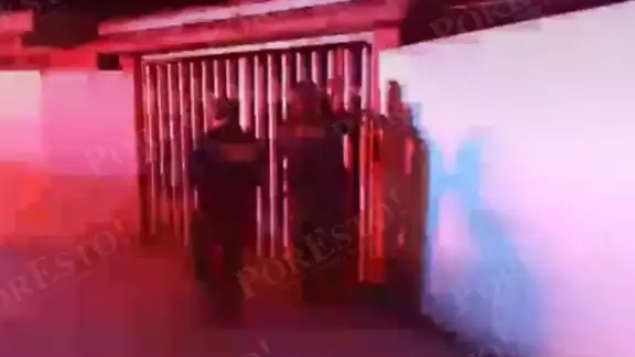 Lo amarraron en la puerta de la Escuela Primaria Francisco Escárcega Márquez Lo amarraron en la puerta de la Escuela Primaria Francisco Escárcega Márquez