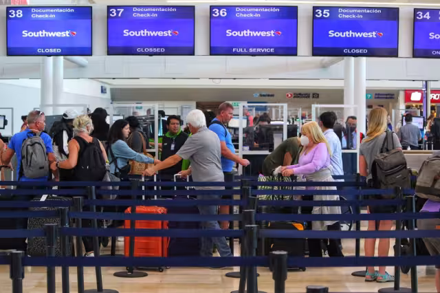 Están listos para volver a casa, pues su aventura por el Caribe Mexicano terminó
