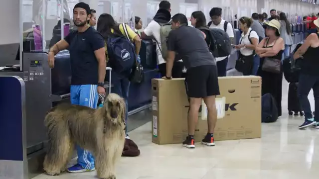 Frullham, Millo y Ally se encontraban en las inmediaciones del recinto aéreo