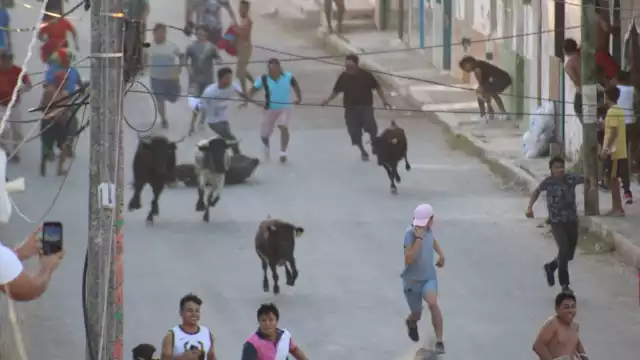 La Pamplomuchada es una réplica de la tradicional fiesta celebraba en Pamplona, España