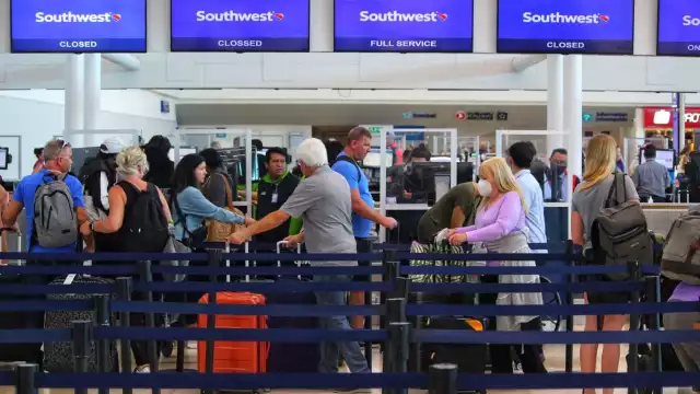 Están listos para volver a casa, pues su aventura por el Caribe Mexicano terminó
