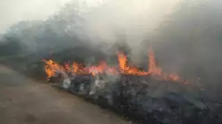 El encargado de la brigada comentó que la quemazón abarcó gran parte del sector