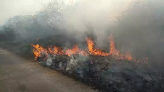 El encargado de la brigada comentó que la quemazón abarcó gran parte del sector El encargado de la brigada comentó que la quemazón abarcó gran parte del sector