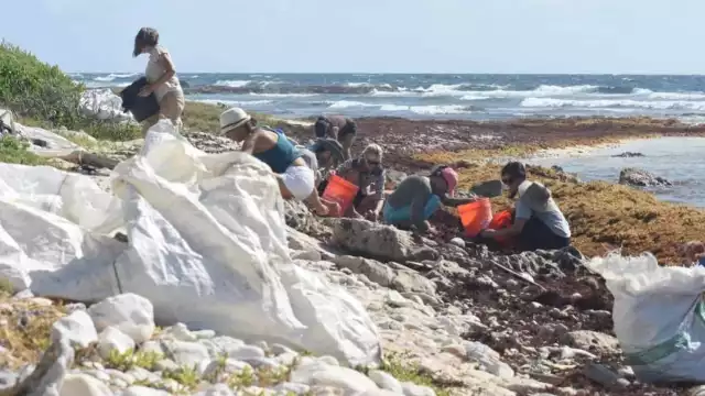 La basura, en su mayoría plástico, fueron retirados de la orilla de una de las playas de Mahahual a modo de prevenir la muerte de tortugas