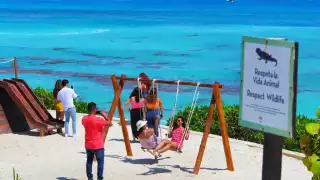 El municipio con gran afectación es Tulum con dos playas con recale de sargazo muy alto