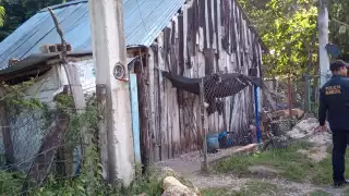 Hombre golpea a su pareja hasta dejarla inconsciente en Escárcega; ¡pensó que la había matado!