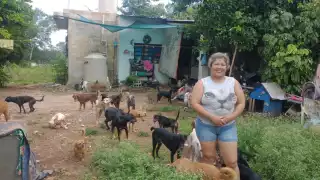 Verónica es la encargada del albergue canino y felino "Échame una pata"