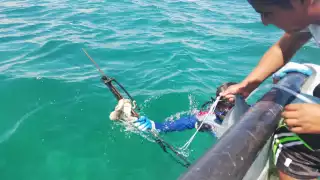 Los pescadores tuvieron que optar por  capturar productos con escama