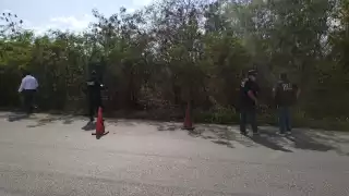 El hallazgo se hizo en el periférico de Mérida