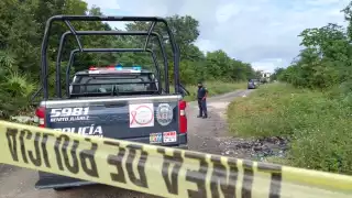 Hallan cadáver en un área verde de la Supermanzana 206 de Cancún