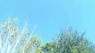 Según sus antepasados, cuando llueve al menos unas tres o cuatro veces durante enero es muestra de que va haber buena temporada de lluvia