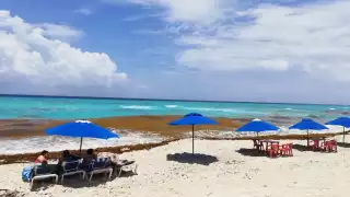 Una de las playas que tiene una cantidad moderada, siendo además una de las favoritas de los turistas y locales, es Playa Marlín