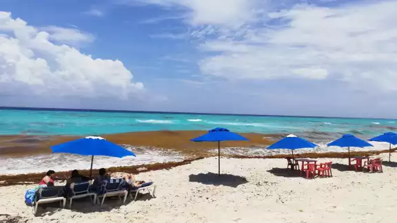Conoce cuales son los arenales que presentan menos afectación por el arribo de sargazo en Cancún y sus al rededores