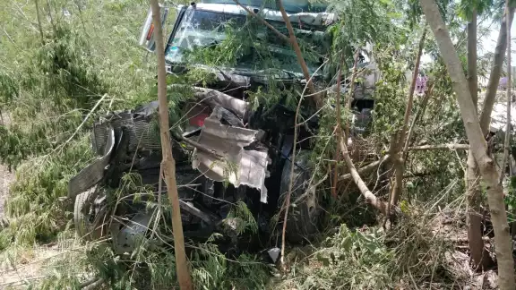 El tráiler terminó dentro del monte después de chocar contra el camión